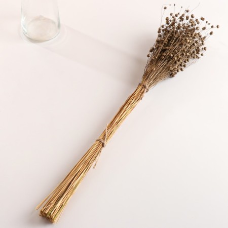 Set of dried flowers "Lenon-debunge", banch length 55-60 (+/- 6 cm), bronze-3