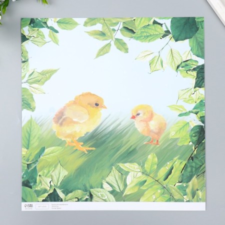 Scrapbooking paper "Chickens on the grass" density 180 g 30.5x32 cm-3
