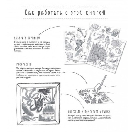 The creatures are large and small. 35 posters for coloring-1