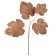 Artificial plant "Smoknitsa", height 63 cm, copper color