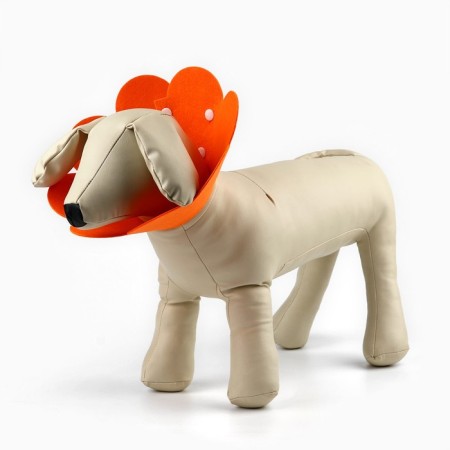 Soft collar for animals Fetire, orange cent, size S-6