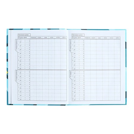 Diary for grades 1-11, solid cover "Vlad A4", 40 sheets, glossy lamination-5