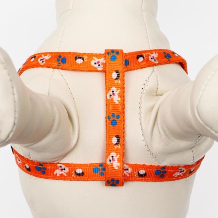 AMUNICE COMMUNICATION "DOGA", leash 120 x 1 cm, OG 27-42 cm, orange-1
