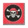The pirate stamps, 25x25 cm, set 20 pcs.