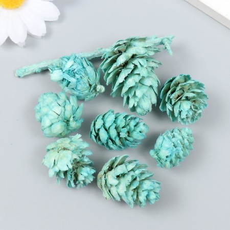 Decor for creativity "Pine mint bump" size 2-4 cm-2