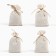 Set a warehouse for a bath 4 pcs "Anti -free, Altai collection, light breathing, strengthening"