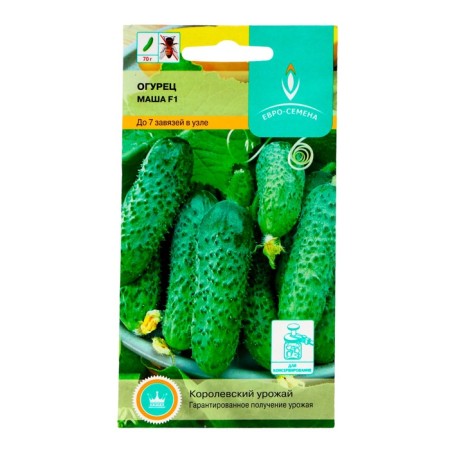 Seeds of cucumber "Masha" F1, parthenocarpic, 5 pcs.-2