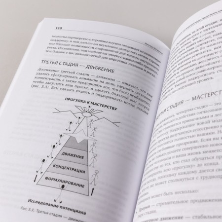 The skill of life. Internal development dynamics. Atkinson M.-3