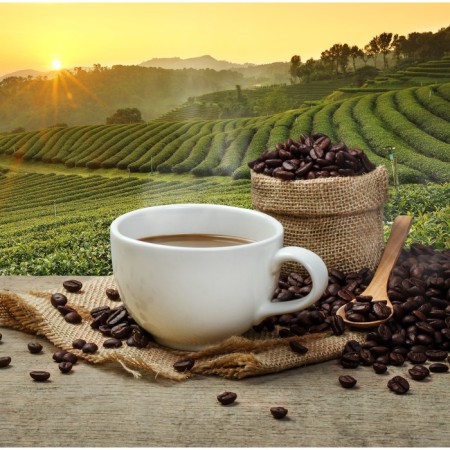 Picture on the subframe "Fragrant coffee" 40*40 cm