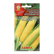 Sugar corn 