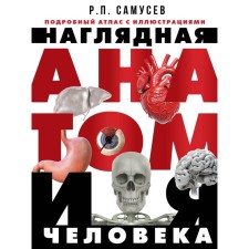 Visual human anatomy. A detailed atlas with illustrations. Samusev R.P.