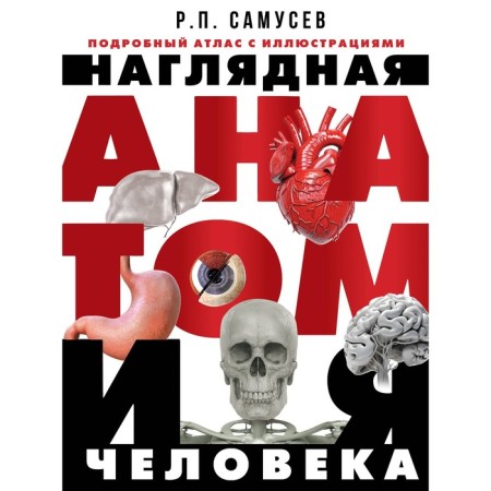 Visual human anatomy. A detailed atlas with illustrations. Samusev R.P.