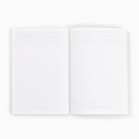 Drawn Planning Dream "Dream in the New Year", A5, 80 liters.-1
