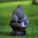 Garden figure "Sleeping Coala" 5x13x16cm