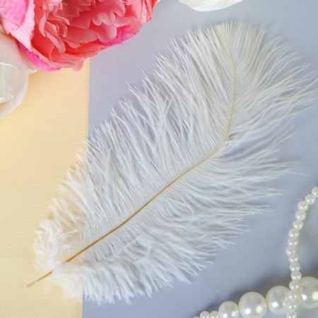 Feather for decor, size: 20-24 cm, white color-4