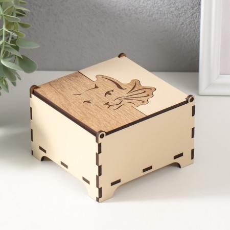 Combined box "Cat" 10.5x10x7 cm