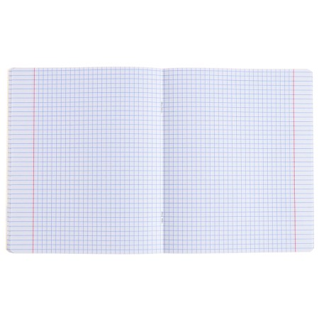 Subject notebook, 48 sheets, ruler, literature, Erichkrause "BENFORMED", plastic cover silk-screen cover, Bloc OFSET BELICE 100%, information block-4