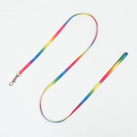 A set for cats "Rainbow", width 1 cm, Osh 16.5-27, OG 21-35 cm, leash 120 cm-5
