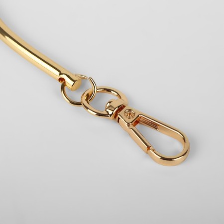 Pen for the “semicircle” bag, metal, with carbines, 12 × 9 cm, gold color-2
