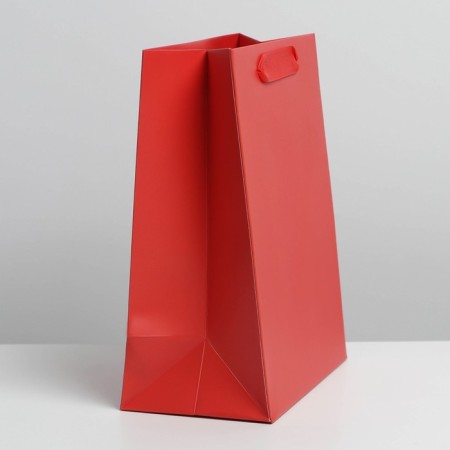 Gift Package Laminated, Packaging, Red, MS 18 x 23 x 10 cm-1