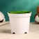 Floristic Kashpo "Trapezius" white, 7x7x6cm