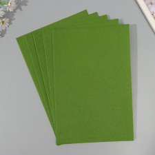 A set of hard felt (5 sheets) 1 mm 20x30 cm, light hack
