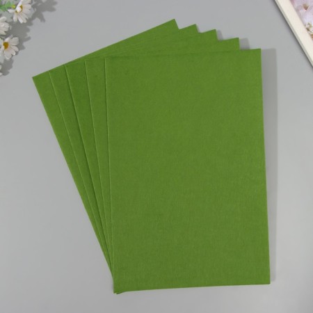 A set of hard felt (5 sheets) 1 mm 20x30 cm, light hack