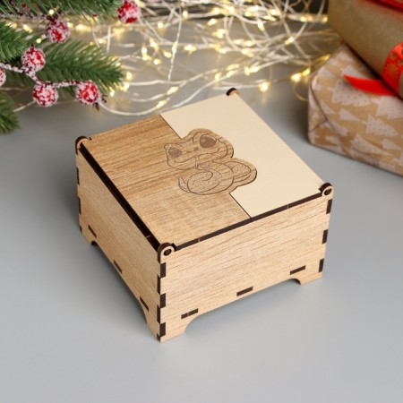 New Year's box combined "snake" 10.5x10x7 cm