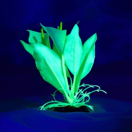 The plant is artificial aquarium, luminous, 10 cm, green-3