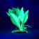 The plant is artificial aquarium, luminous, 10 cm, green