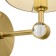 Bra Maytoni Mod088WL-01BS, 1CHE14, 40W, 20x20x26 cm, brass color