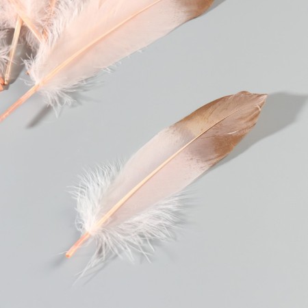 A set of goose feathers 15-20 cm, 10 pcs, light pink with gold-3