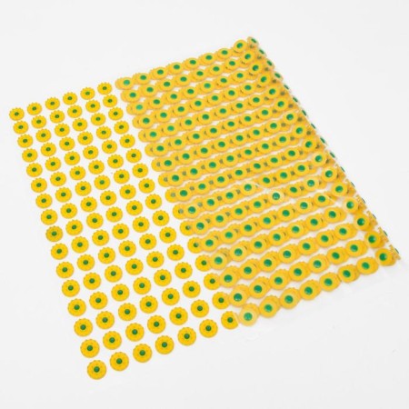 Kuznetsova applicator, 384 spines, film, 50 x 75 cm.-3