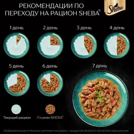 SHEBA wet food for cats, spider, chicken/paprika, 75 g-2