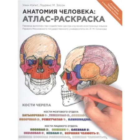 Human anatomy: atlas coloring, Elson L., Capit U.