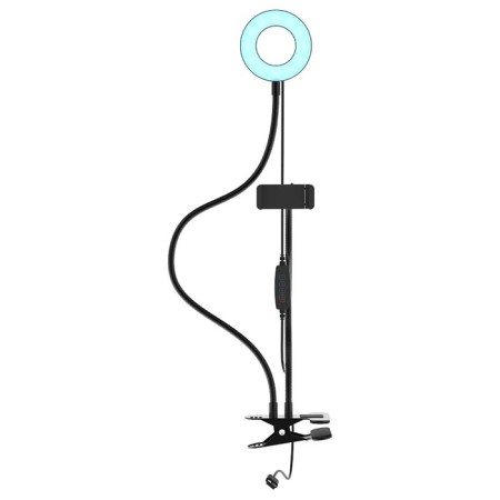Ritmix RRL-091, 9CM, USB, 3 colors, 24 LEDs, clothespin, remote control, holder-2