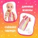 Baby doll "Ksenia"