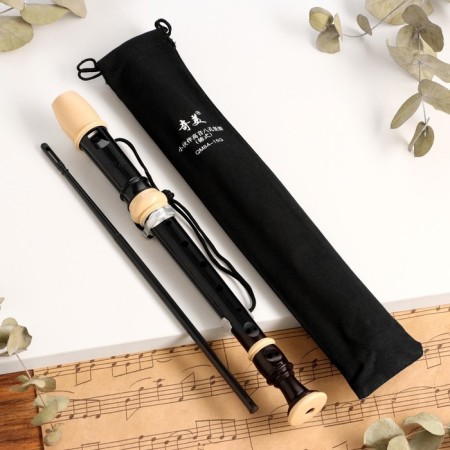 Music Life Blockflate, 8 holes, black cover, ramrod, 30 cm