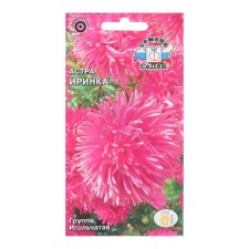 Flowers of Astra 