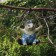 Garden figure "Hedgehog on a swing" 18 cm