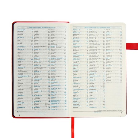 Diary of a low -up A5, 136 Premier sheets, solid cover, artificial leather, lies, magnetic refuge, beige block 70 g/m2, red-6