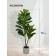 Decorative plant in the cement pot "Ficus", 14 × 14 × 96 cm