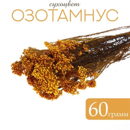 Sukhotzet "Ozotamnus" 60 g, color orange