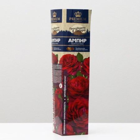Saphenet Rose Empire Spring 2024, 1 pc.