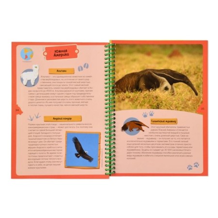 Animal planets. Children's Encyclopedia (in the box)-4