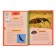 Animal planets. Children's Encyclopedia (in the box)