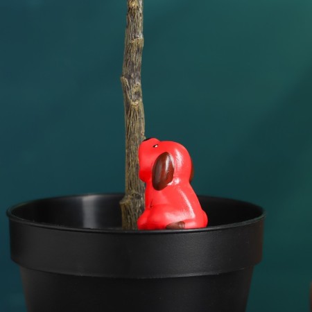 Puppy irrigator for indoor and garden plants Kungur ceramics, 30ml, 8.5cm, mix-3