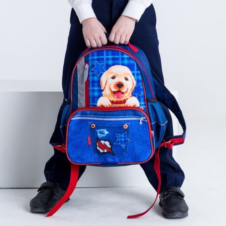 School backpack, 37 x 26 x 13 cm, ergonomic back, calligrata orth "puppy on jeans", blue-10