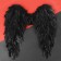 Angel wings, 60 × 57 cm, black color