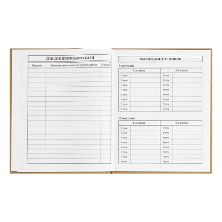 Universal Diary 5-11 classes, 48 ​​sheets "graffitist", craft, solid cover, foil embossing, block 65g/m2-5